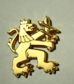 Märke för axelklaff, S2